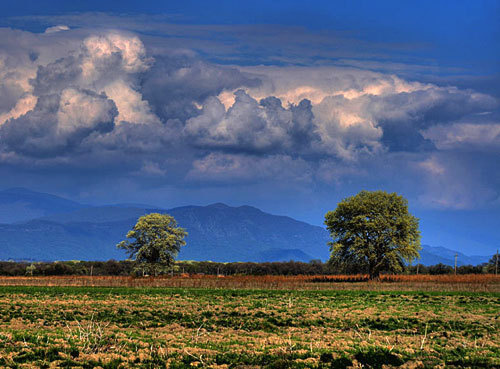 Alazani Valley in Kakheti region, Eastern Georgia. Photo by http://en.wikipedia.org