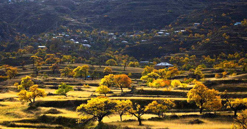 The village of Goor-Khindakh of the Shamil District of Dagestan. Photo: Magomed Shapiev http://odnoselchane.ru/