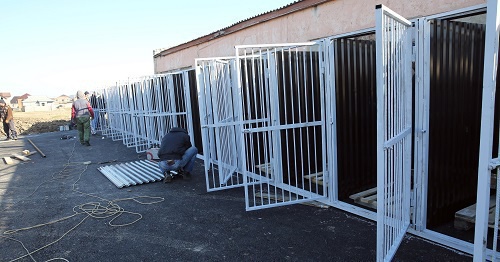 First stray dog kennel in Makhachkala, March 1, 2017. Photo by Patimat Makhmudova for the 'Caucasian Knot'. 