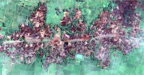 The Chein Khar Li village burnt in Myanmar. Photo: © DigitalGlobe 2017, https://www.hrw.org