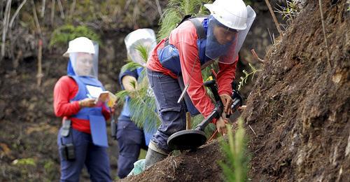 The HALO Trust's deminers at work. Фото: REUTERS/Fredy Builes