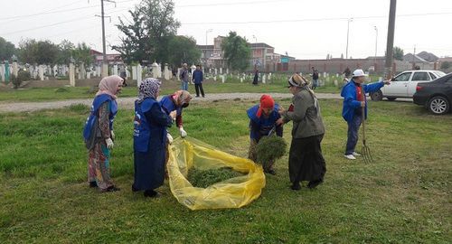 Residents of Argun city at a subbotnik. Photo by the press service of the United Russian Party https://chechen.er.ru/