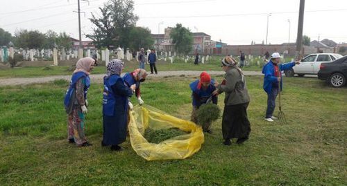 Chechen residents take part in subbotnik. Photo: press service of the United Russia Party