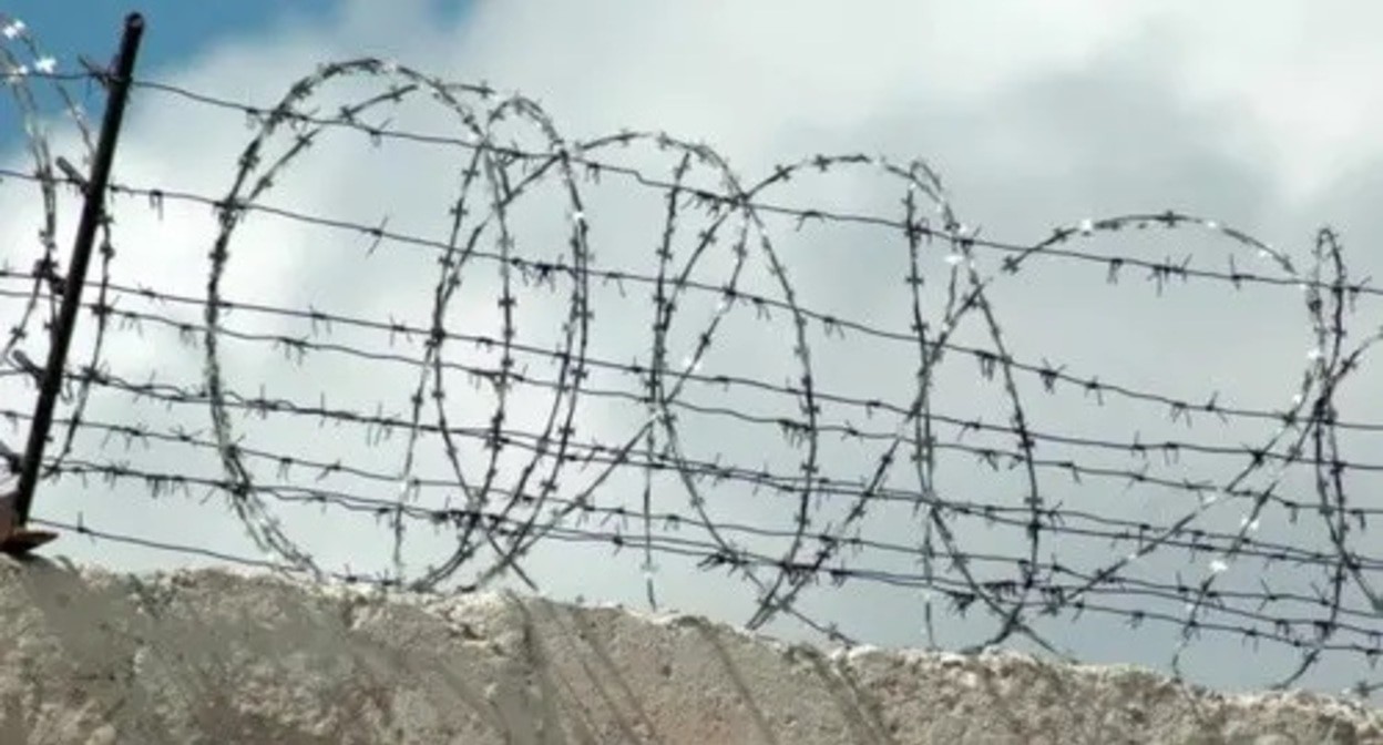 Barbed wire. Photo: Elena Sineok / Yuga.ru