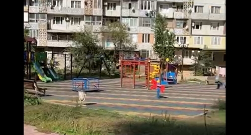 A children's playground in the yard of an apartment block in Peter I Avenue in Makhachkala where the  developer is planning to build a multi-storey building. Screenshot of a video posted on Telegram