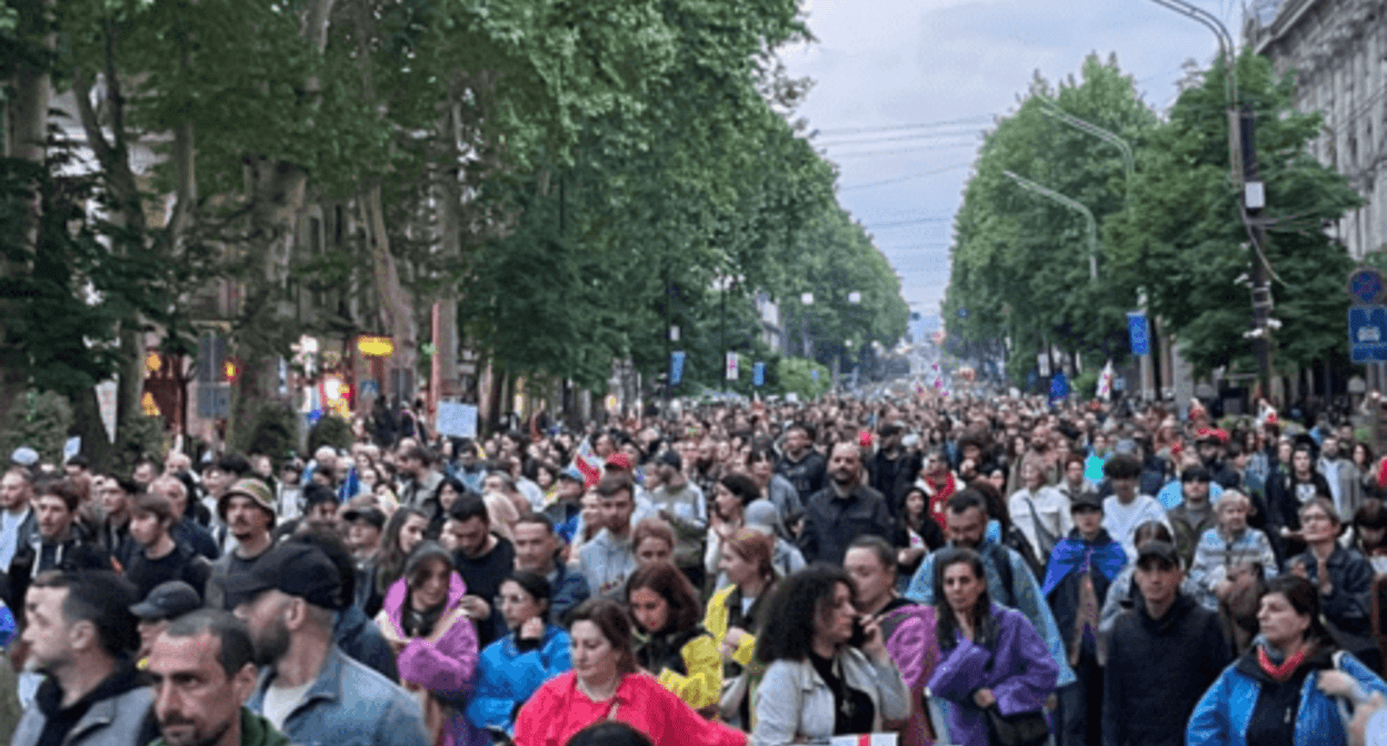 Georgia's "Europe March". Photo by the "Caucasian Knot" correspondent, May 11, 2024