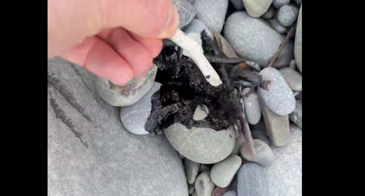 Stains on the beach in Chemitokvadzh. Video still: https://t.me/agentstvonews/15274. Stains on the beach in Chemitokvadzh. Video still: https://t.me/agentstvonews/15274.