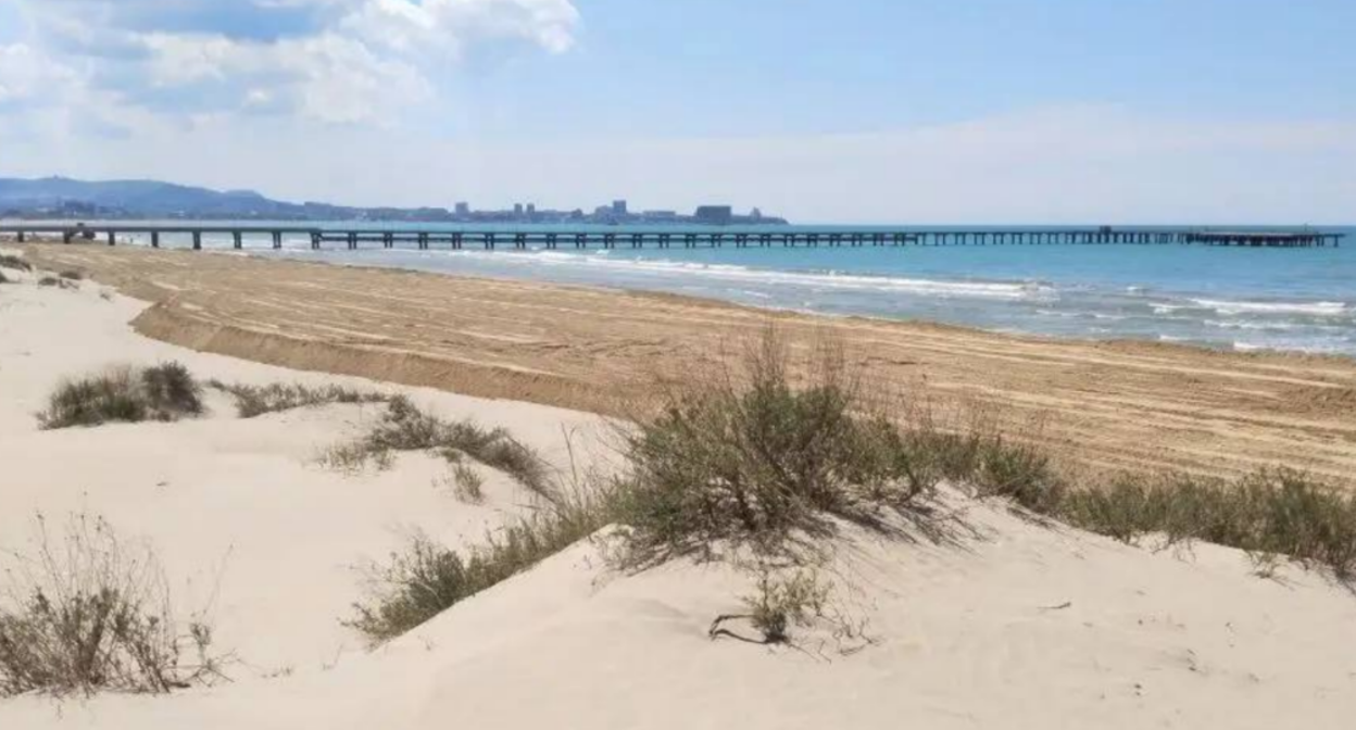 The beach in Anapa after filling. Screenshot from a photo by "SSL Volunteers" from May 17, 2026, https://t.me/setisitolopata/2957. The beach in Anapa after filling. Screenshot from a photo by "SSL Volunteers" from May 17, 2026, https://t.me/setisitolopata/2957.