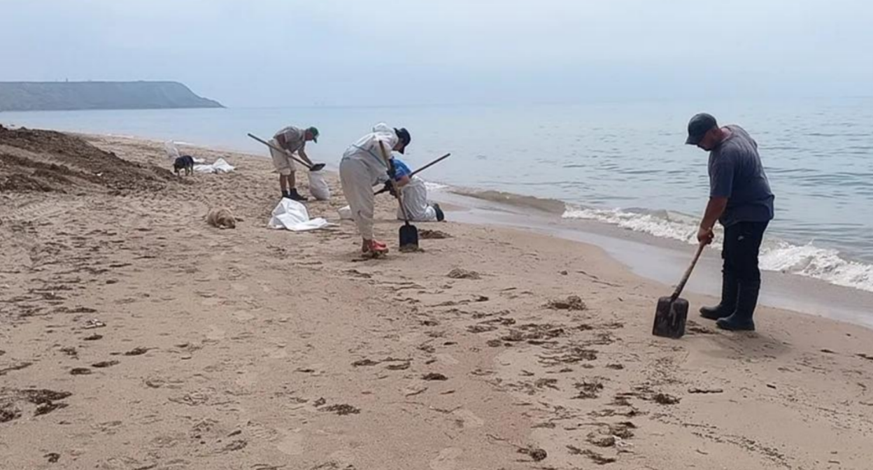 Cleaning up a fresh oil spill on the beach in the village of Volna. Screenshot from the "Dolphins" headquarters photo from May 23, 2026, https://t.me/shtab_delfin/2745. Cleaning up a fresh oil spill on the beach in the village of Volna. Screenshot from the "Dolphins" headquarters photo from May 23, 2026, https://t.me/shtab_delfin/2745.