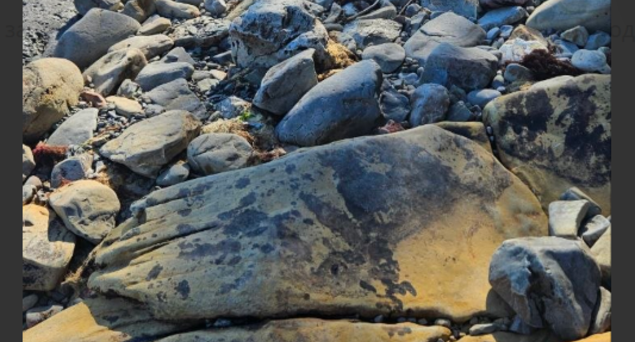 Pollution on rocks between Tuapse and Agoy. Screenshot from Evgeny Vitishko's Telegram channel, June 18, 2026, https://t.me/evitishko/1691. Pollution on rocks between Tuapse and Agoy. Screenshot from Evgeny Vitishko's Telegram channel, June 18, 2026, https://t.me/evitishko/1691.