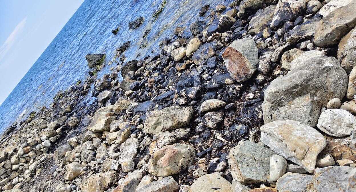 Fuel oil on the shore. Screenshot from the post: https://t.me/my_tuapse/36527?comment=984003 Fuel oil on the shore. Screenshot from the post: https://t.me/my_tuapse/36527?comment=984003